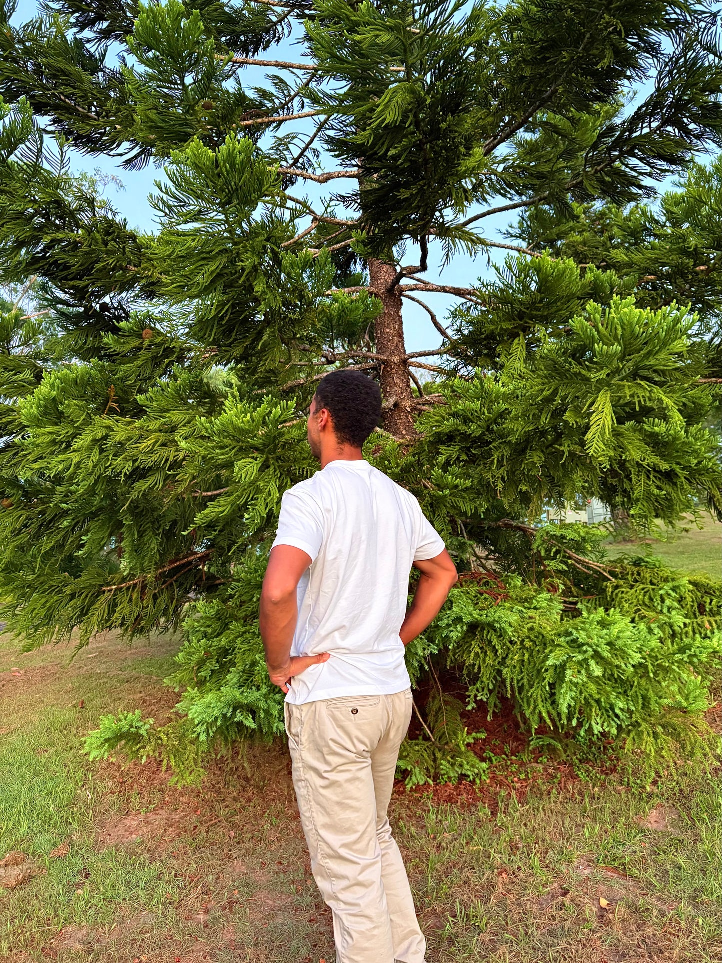 The Orignal Tee - White